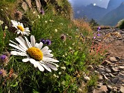 Monte Aga dal Rif. Longo con rientro a Carona a piedi-19lu-22 - FOTOGALLERY